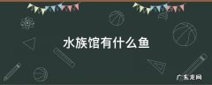 水族馆有什么鱼