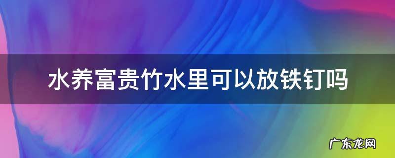 水养富贵竹水里可以放铁钉吗