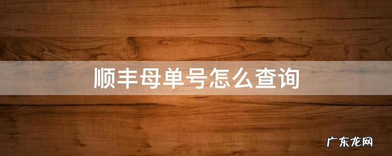 顺丰母单号怎么查询