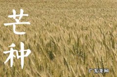 芒种节气有什么讲究 芒种节气风俗习惯
