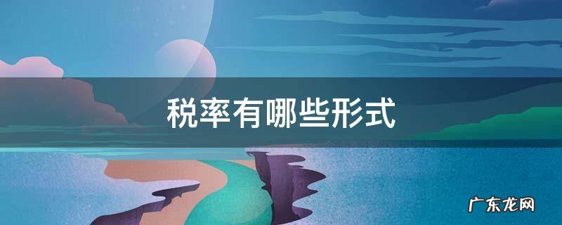 税率有哪些形式
