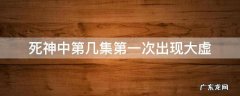 死神中第几集第一次出现大虚
