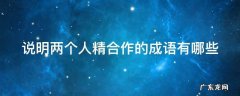 说明两个人精合作的成语有哪些