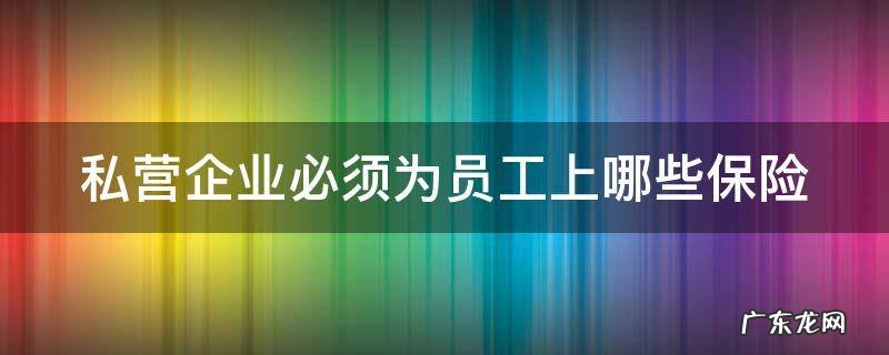 私营企业必须为员工上哪些保险