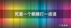 死里一个眼睛打一成语
