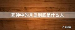 死神中的月岛到底是什么人