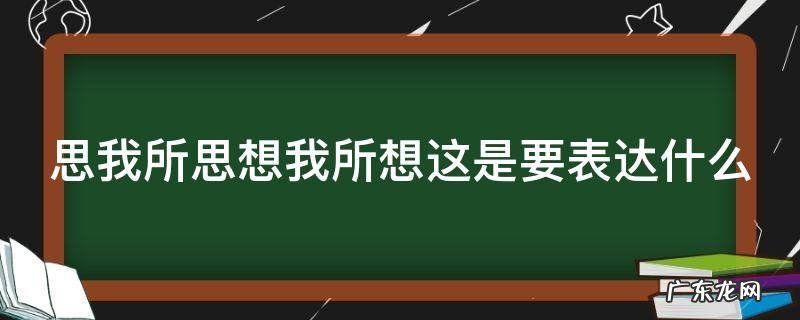 思我所思想我所想这是要表达什么