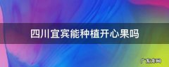 四川宜宾能种植开心果吗