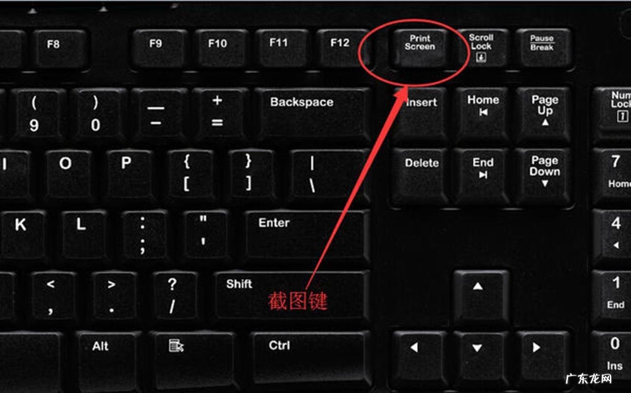 而且能截取任意形状 电脑如何使用截图