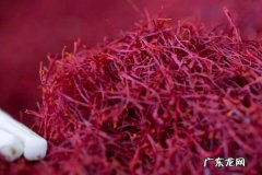 西红花价格多少钱一克？西红花怎么挑选？如何鉴别西红花真假？