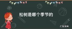 松树是哪个季节的