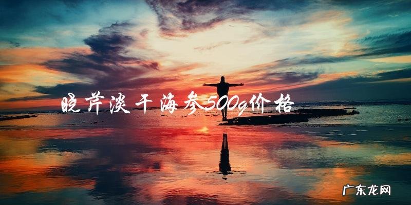 晓芹淡干海参500g售价揭晓,超值优惠等你抢购!