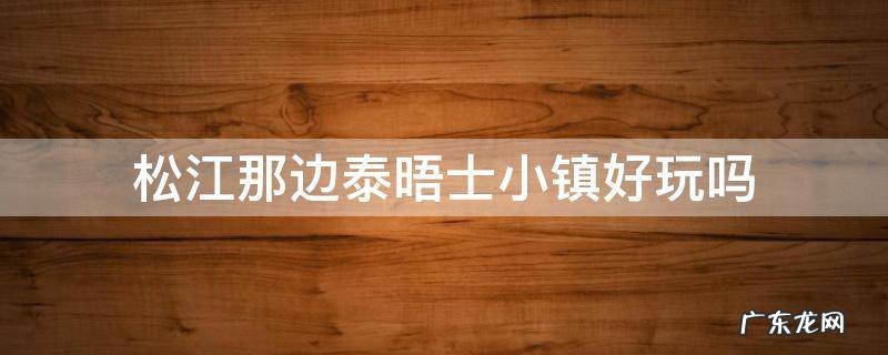 松江那边泰晤士小镇好玩吗