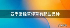 四季常绿草坪草有那些品种