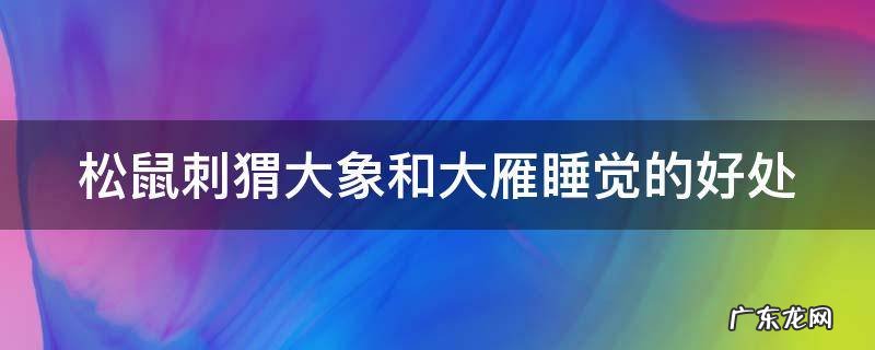 松鼠刺猬大象和大雁睡觉的好处