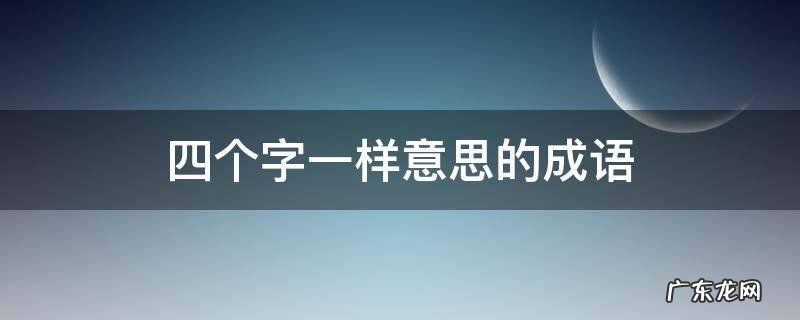四个字一样意思的成语
