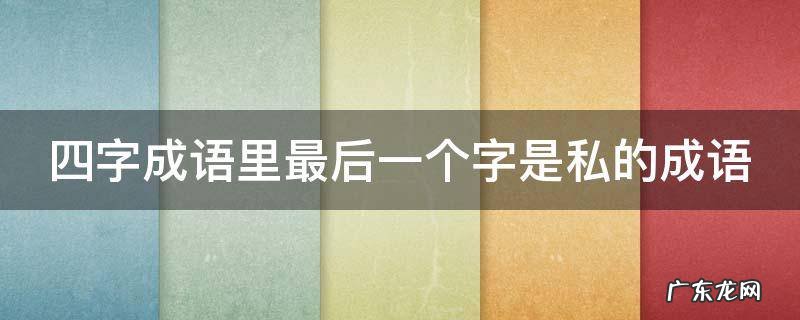 四字成语里最后一个字是私的成语