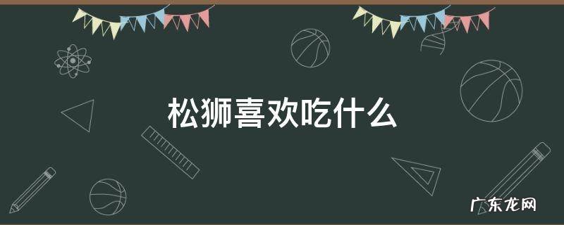 松狮喜欢吃什么
