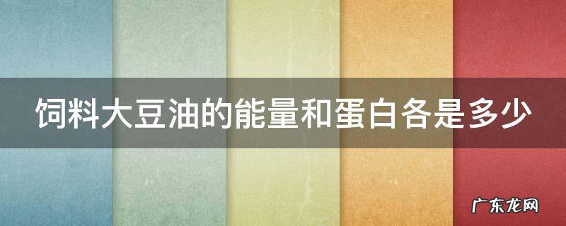 饲料大豆油的能量和蛋白各是多少
