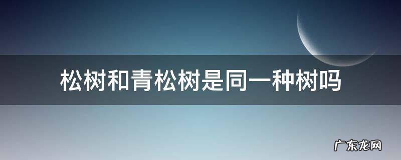 松树和青松树是同一种树吗