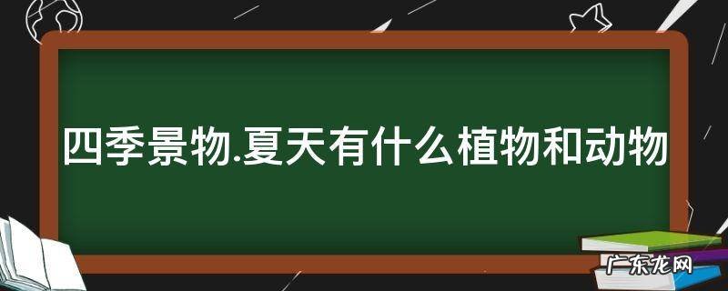 四季景物.夏天有什么植物和动物