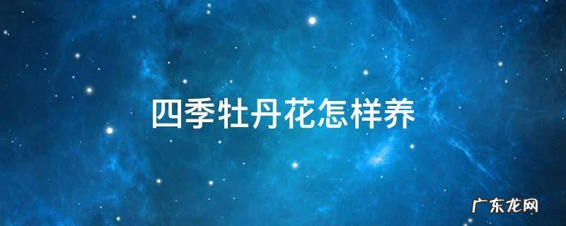 四季牡丹花怎样养