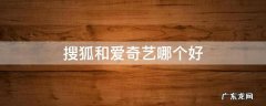 搜狐和爱奇艺哪个好