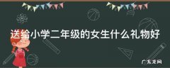 送给小学二年级的女生什么礼物好