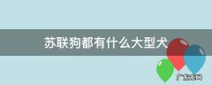 苏联狗都有什么大型犬