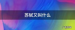 苏轼又叫什么
