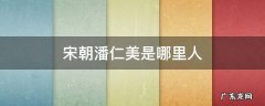宋朝潘仁美是哪里人