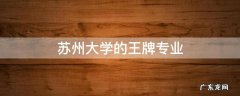苏州大学的王牌专业
