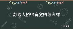苏通大桥很宽宽得怎么样