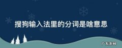 搜狗输入法里的分词是啥意思