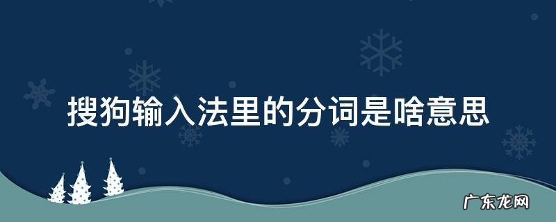 搜狗输入法里的分词是啥意思