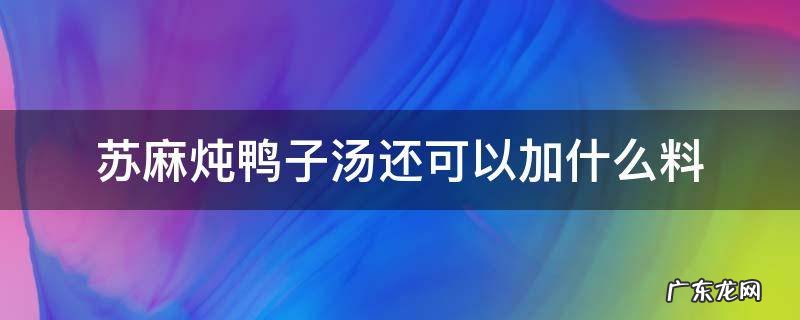 苏麻炖鸭子汤还可以加什么料