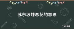 苏东坡蝶恋花的意思