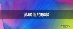 苏轼莲的解释