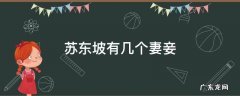 苏东坡有几个妻妾