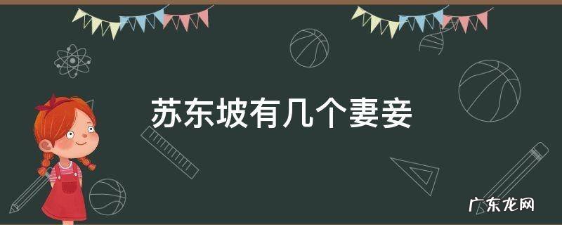 苏东坡有几个妻妾