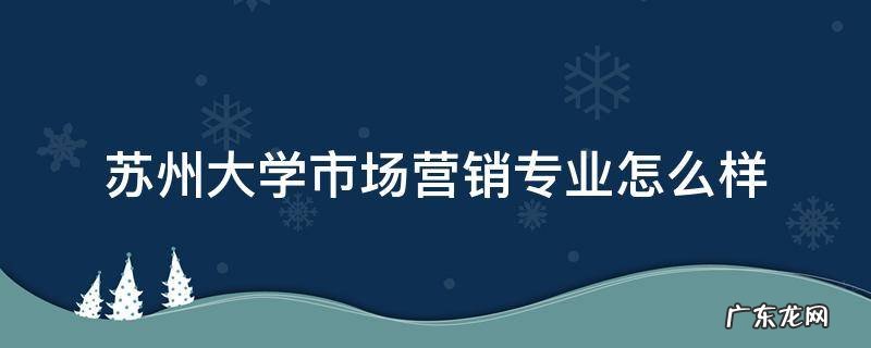 苏州大学市场营销专业怎么样