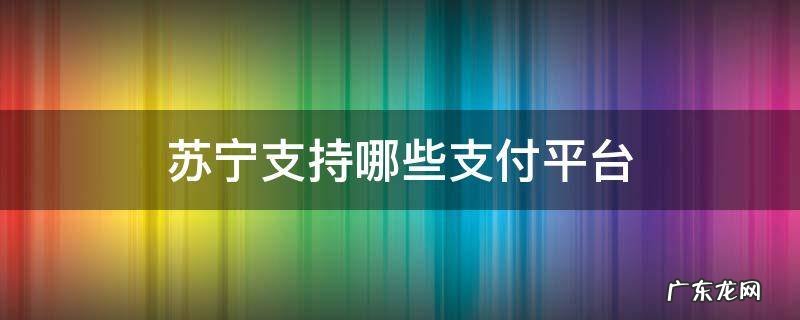 苏宁支持哪些支付平台