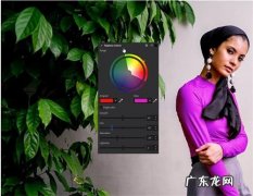 CorelDRAW使用马赛克效果,制作出影像马赛克!