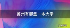 苏州有哪些一本大学