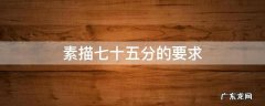 素描七十五分的要求