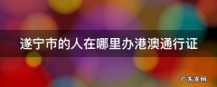 遂宁市的人在哪里办港澳通行证