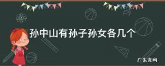 孙中山有孙子孙女各几个