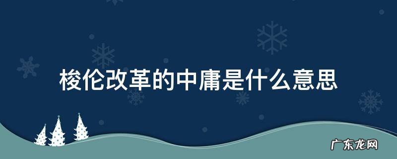 梭伦改革的中庸是什么意思