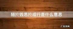 随扵毁思扵成行是什么意思