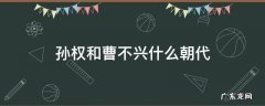 孙权和曹不兴什么朝代